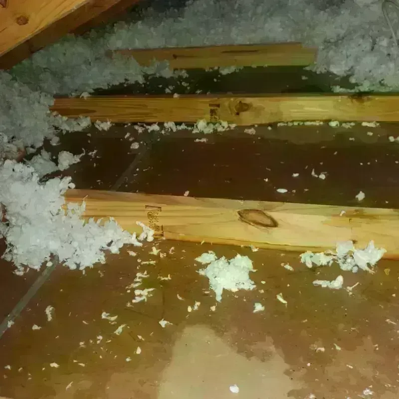 Attic Water Damage in Staten Island, NY